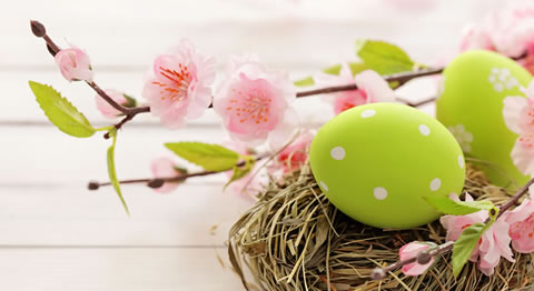 Pasquetta Home